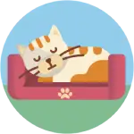 Making Pet Relocation Easy: Your Guide to Stress-Free Moves 6 Making Pet Relocation Easy: Your Guide to Stress-Free Moves