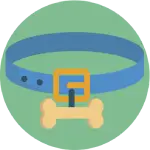 Making Pet Relocation Easy: Your Guide to Stress-Free Moves 3 Making Pet Relocation Easy: Your Guide to Stress-Free Moves