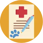 Making Pet Relocation Easy: Your Guide to Stress-Free Moves 2 Making Pet Relocation Easy: Your Guide to Stress-Free Moves